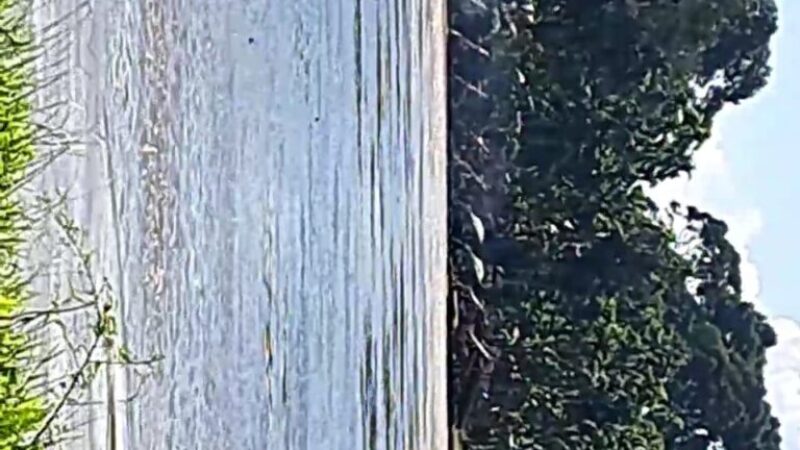 02414776-77b7-4741-982a-7f362c6e69a4