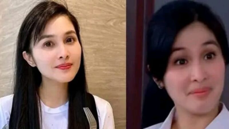 0e986de8-bef4-41f2-88f5-736dec5f3263