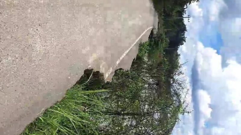 47864ec9-3f06-4b93-befb-9a4c15d85318