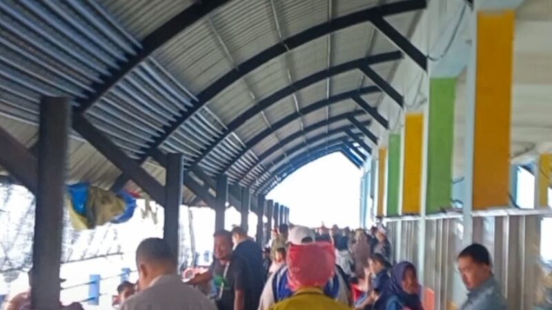 e4439344-02ee-4cdc-a3c1-b4eb266374f1