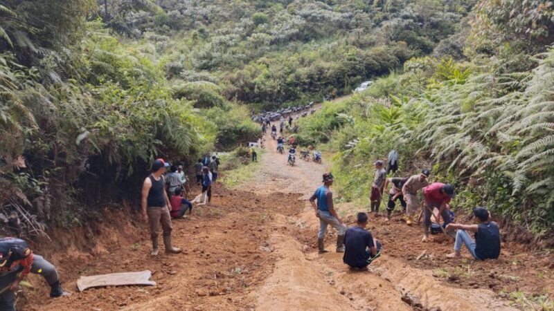 3d9eb631-0337-4b7d-9971-d81eb2f2586e