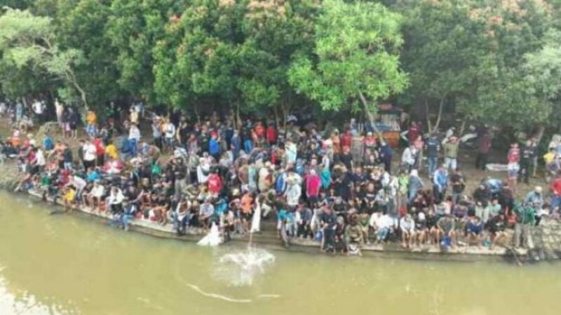 8bd6f176-2e8d-4444-aa51-654e9db9de27