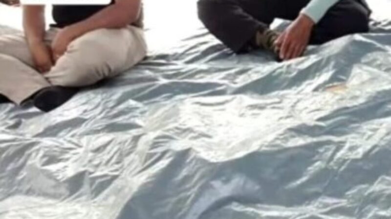 8c3caaf2-e077-4fe8-9af2-eb8daf53d89b