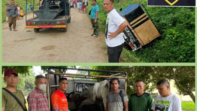 a756730c-0e6d-4373-98f8-531f1f02ff22