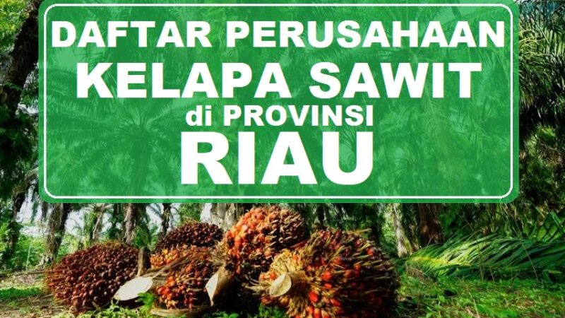 pabrik-kelapa-sawit-di-riau