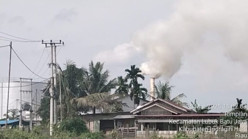 7843e9d5-567e-4fa6-a59f-4cd9dee31a06