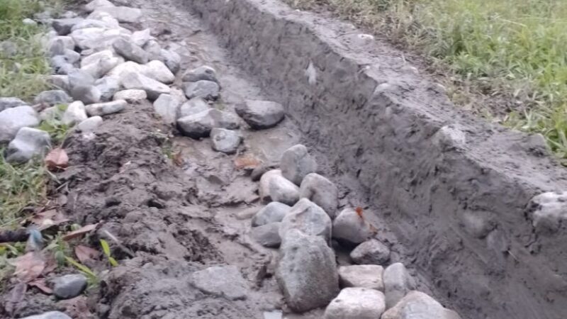 IMG-20250830-WA0035