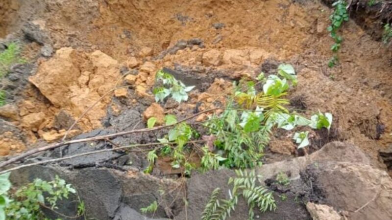 IMG-20251121-WA0377