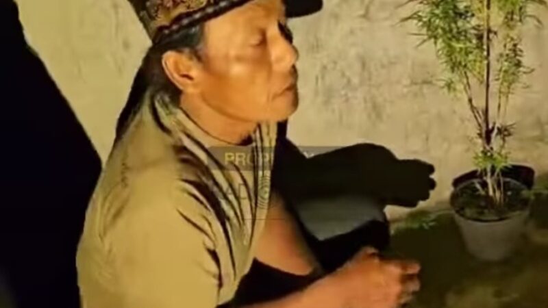 Screenshot_20260228_115021_Lite