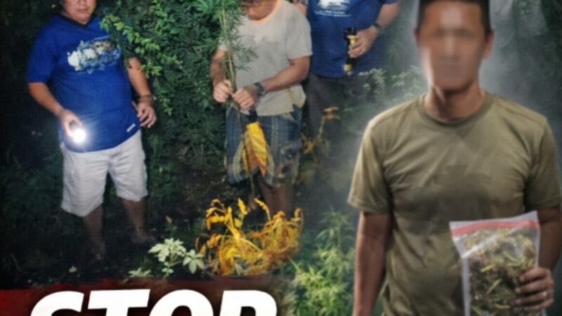 Screenshot_20260228_121353_Chrome