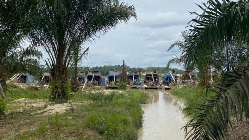 IMG-20260408-WA0039